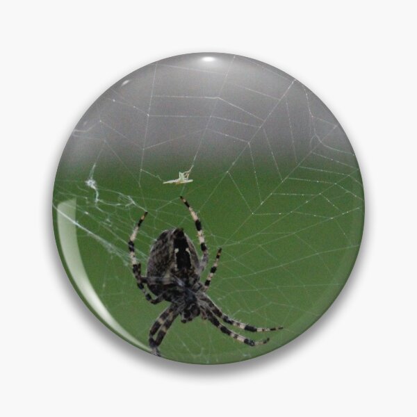 Item preview, Web Maker designed and sold by Susie Kramer.