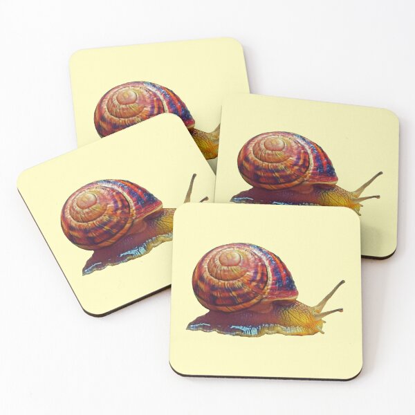 Item preview, Scrawling edible snail designed and sold by helenkaiy.