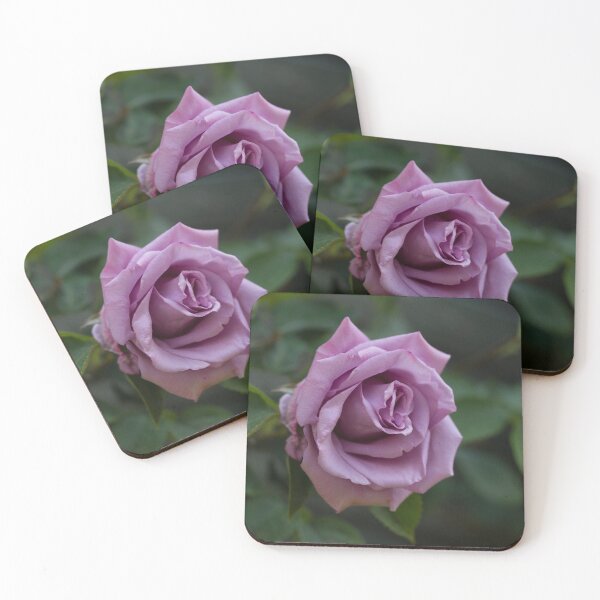 Item preview, Lilac Rose designed and sold by John Honeyman.