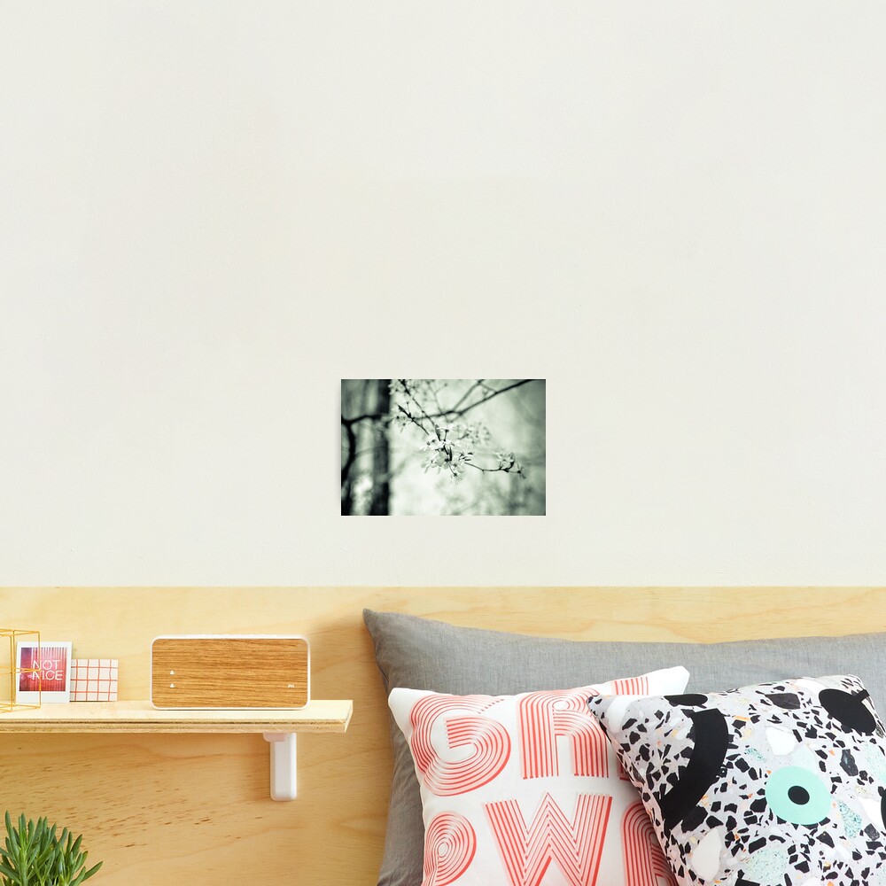 Item preview, Photographic Print designed and sold by misledghost.