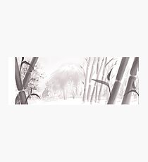 Totoro sumi-e Photographic Print