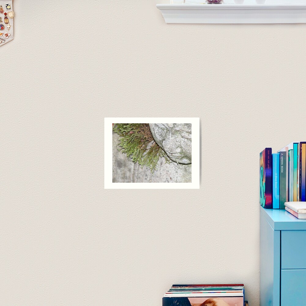 Meditating Art Print