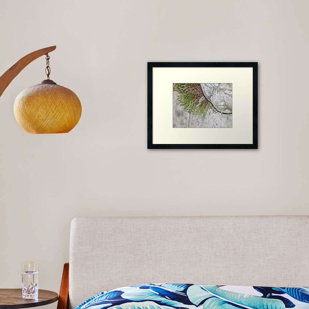 Meditating Framed Art Print