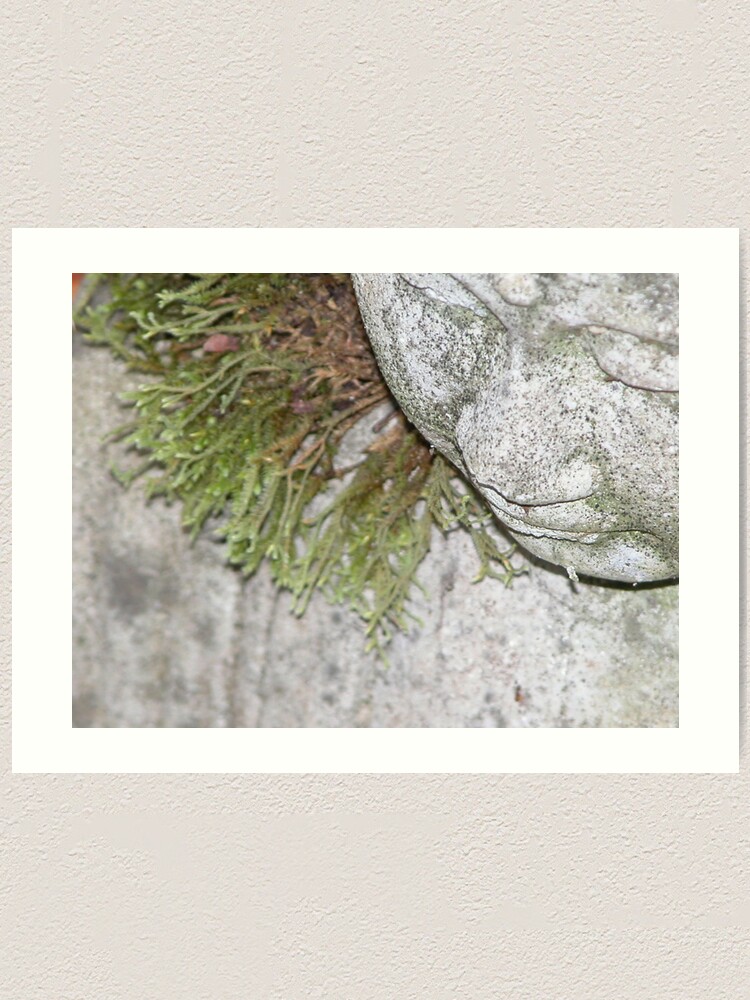 Alternate view of Meditating Art Print