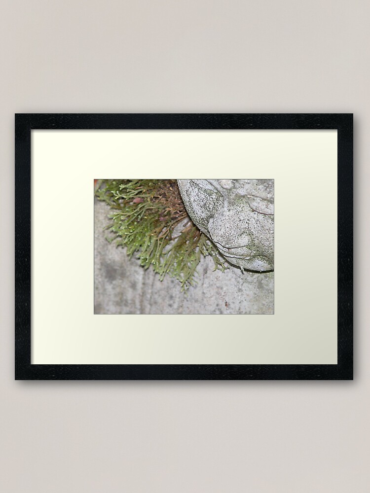 Alternate view of Meditating Framed Art Print
