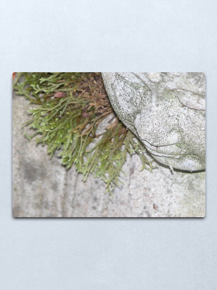 Alternate view of Meditating Metal Print