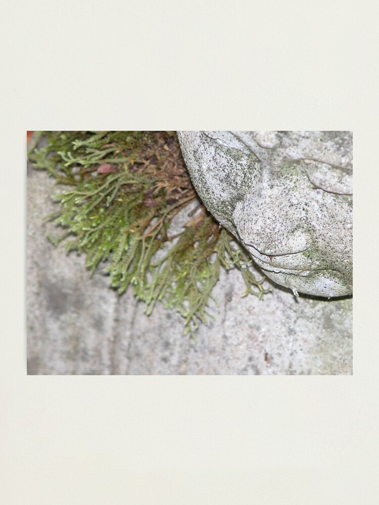 Thumbnail 1 of 3, Photographic Print, Meditating designed and sold by MonaShiber.
