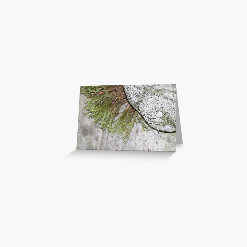 Item preview, Greeting Card designed and sold by MonaShiber.