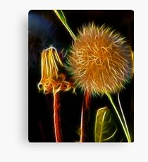 Weeds Canvas Print