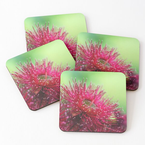 Item preview, Red Gum Blossom designed and sold by Cloudlingpics.