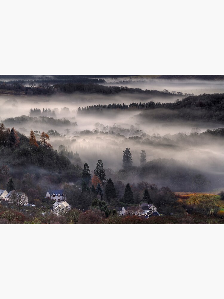 Aberfoyle Mist by Shuggie