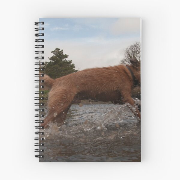 Item preview, Border Terrier on the move Part 2 designed and sold by John Honeyman.