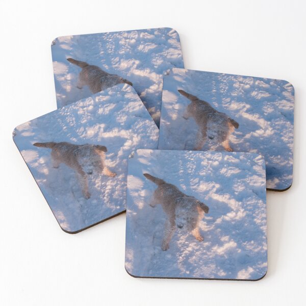 Item preview, Border Terrier in the snow designed and sold by John Honeyman.