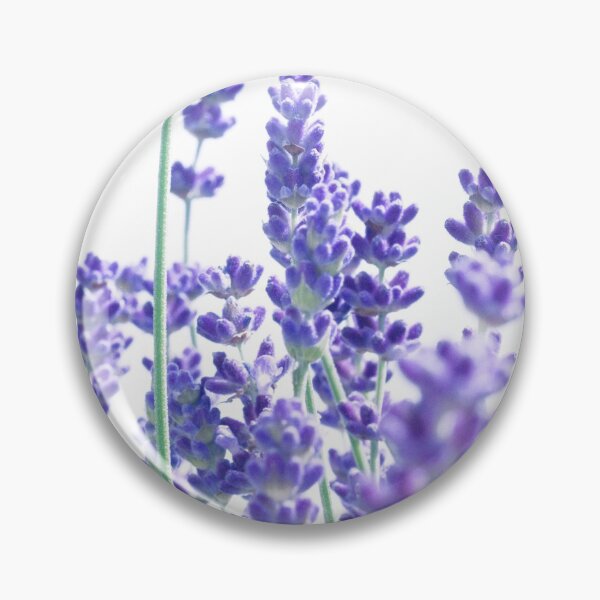 Artikelvorschau, Frischer Lavendel # 1 #decor #art entworfen und verkauft von Anita's & Bella's Art.