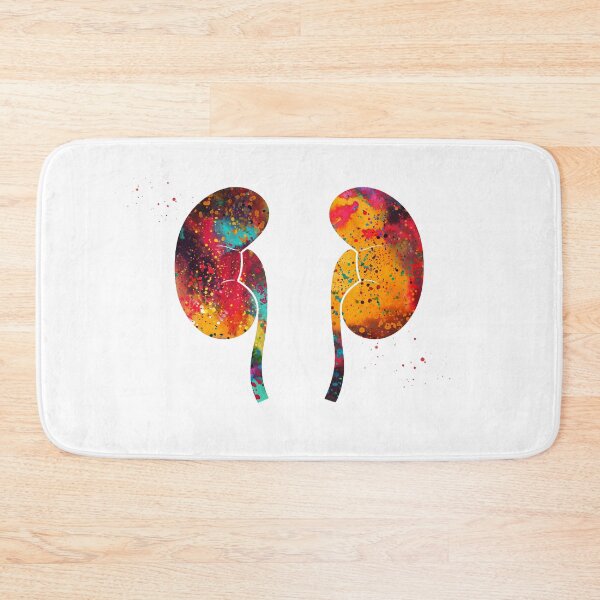 Item preview, The Kidneys anatomy designed and sold by Liededrom..
