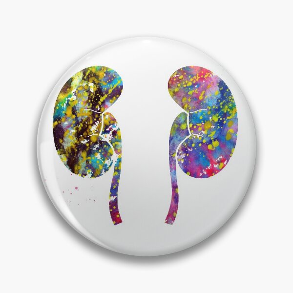 Item preview, The Kidneys anatomy designed and sold by Liededrom..