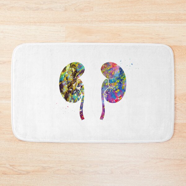 Item preview, The Kidneys anatomy designed and sold by Liededrom..