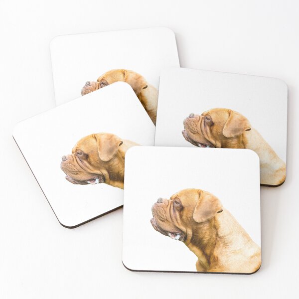 Item preview, The Dogue de Bordeaux Or Bordeaux mastiff designed and sold by Paul Thompson Photography.