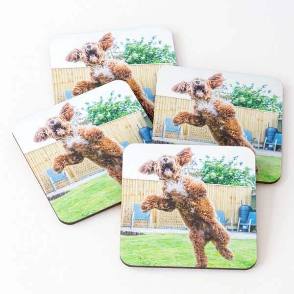 Item preview, Crazy Cockapoo Puppy designed and sold by Paul Thompson Photography.