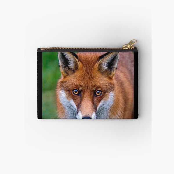 Item preview, Zorro rojo designed and sold by Stuart Robertson Reynolds.