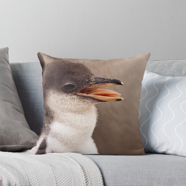 Item preview, Gentoo Penguin Chick designed and sold by Stuart Robertson Reynolds.