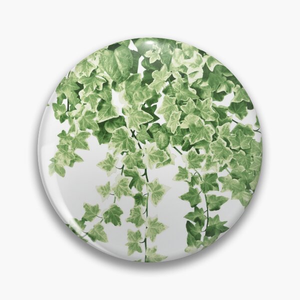 Item preview, Ivy Delight #2 #wall #decor #art  designed and sold by Anita's & Bella's Art.