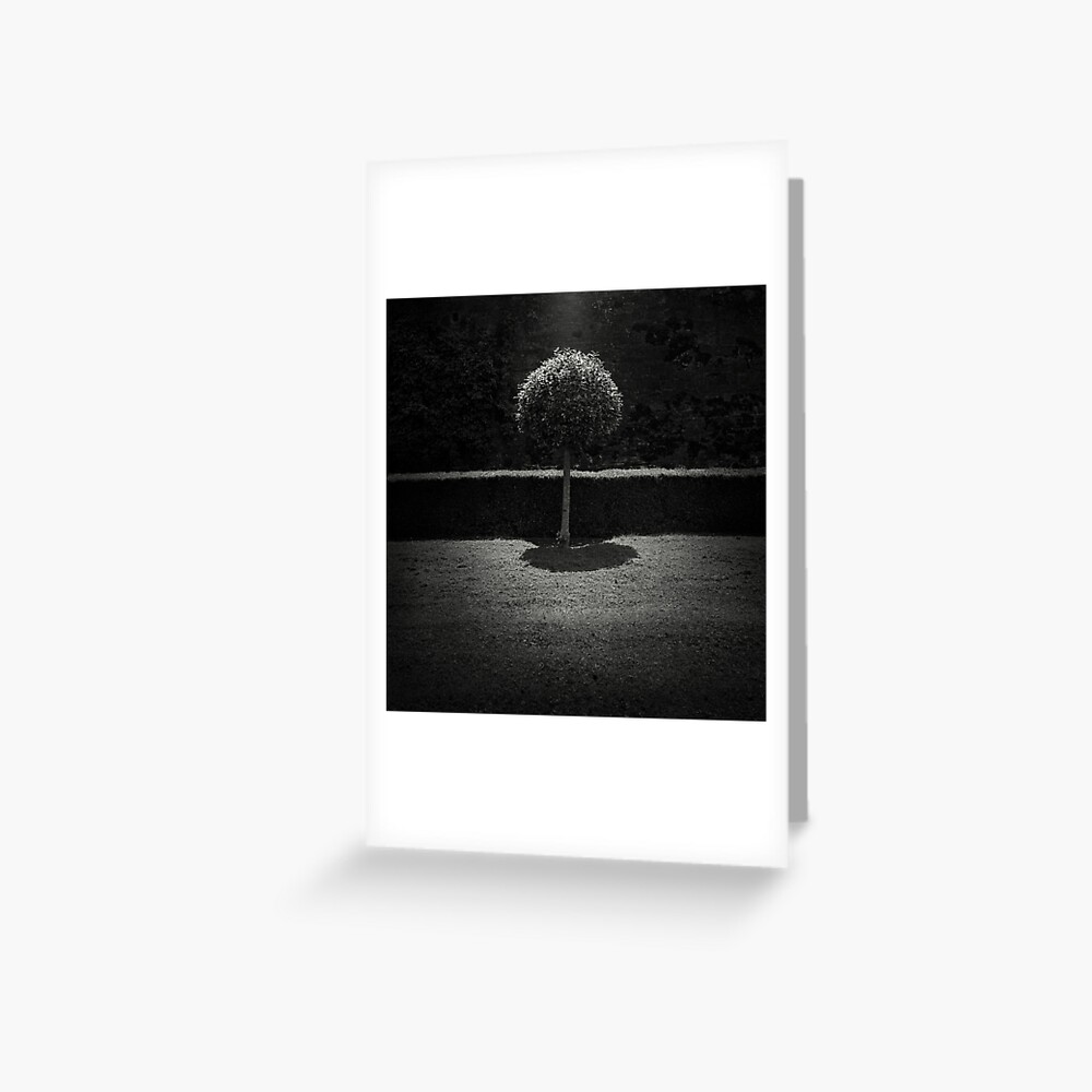 Item preview, Greeting Card designed and sold by kalua.