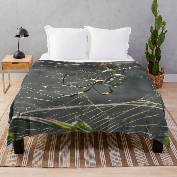Item preview, Spider in The Gambia designed and sold by Sue Robinson.
