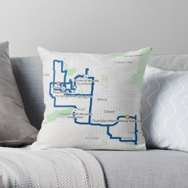 Nov. 12th 2019 Throw Pillow