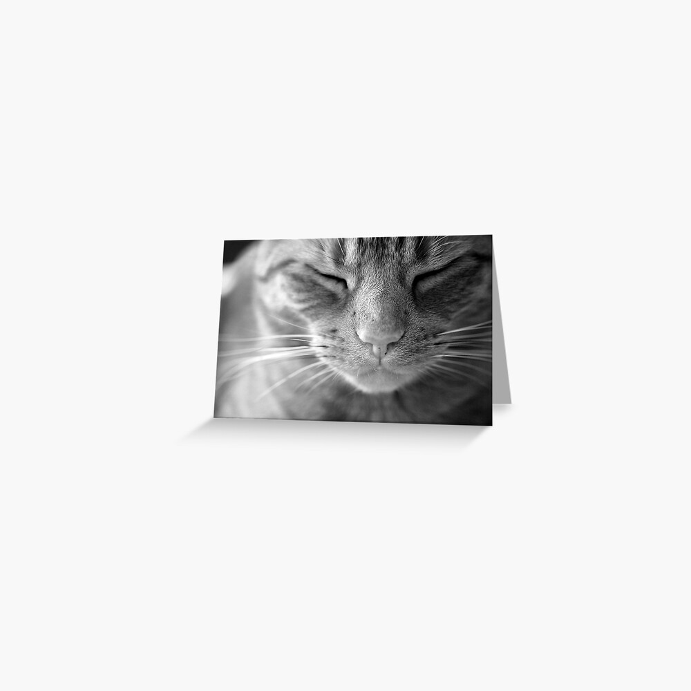Item preview, Greeting Card designed and sold by petegrev.