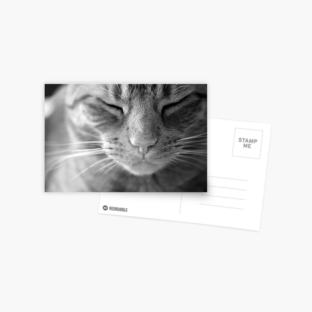 Item preview, Postcard designed and sold by petegrev.