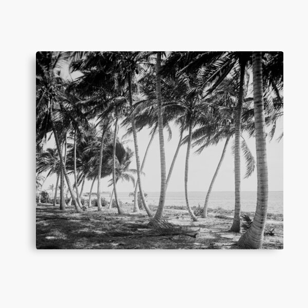 Download Decoracion de la playa de la vendimia Desktop Wallpaper