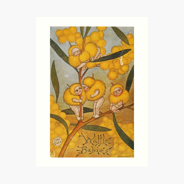 Wattle Babies - May Gibbs Print Art Print