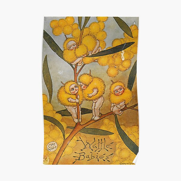 Wattle Babies - May Gibbs Print Poster