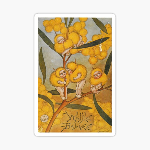 Wattle Babies - May Gibbs Print Sticker