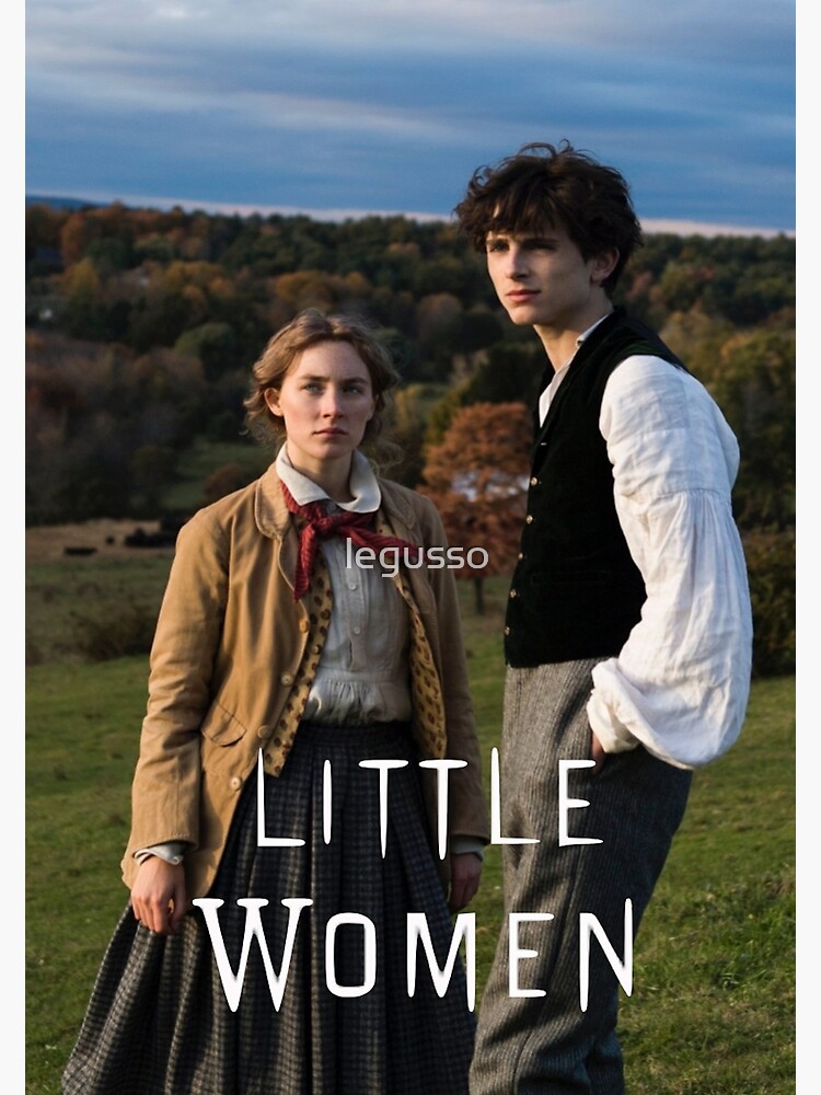 Little women thimothee chalamet Premium Matte Vertical Poster sold by ...