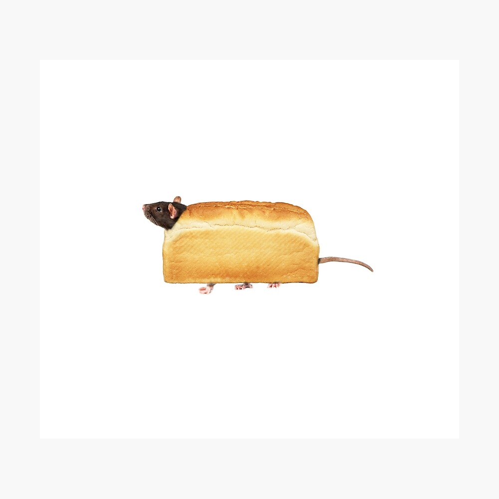 Rat Bread Loaf Meme Poster By Rattybread Redbubble