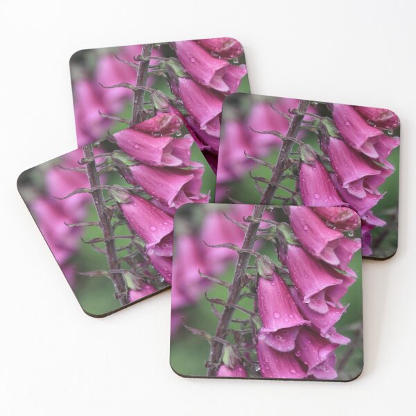 Item preview, Foxgloves. designed and sold by John Ray.