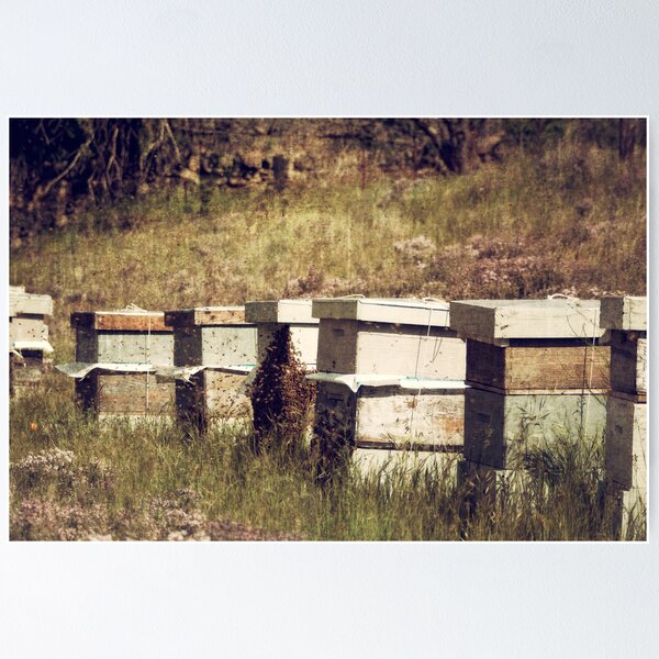 Item preview, The bees designed and sold by Jill Ferry.