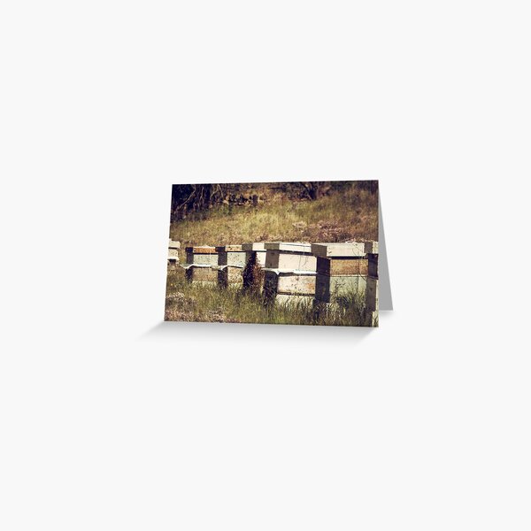 The bees Greeting Card