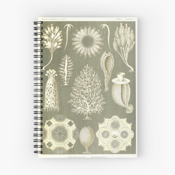 Item preview, Naturalist Sponges designed and sold by BlueSpecsStudio.
