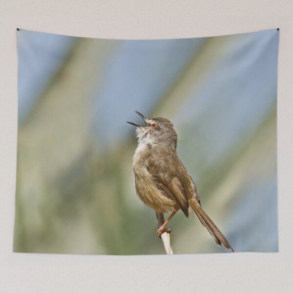 Item preview, Tawny-flanked Prinia designed and sold by Sue Robinson.