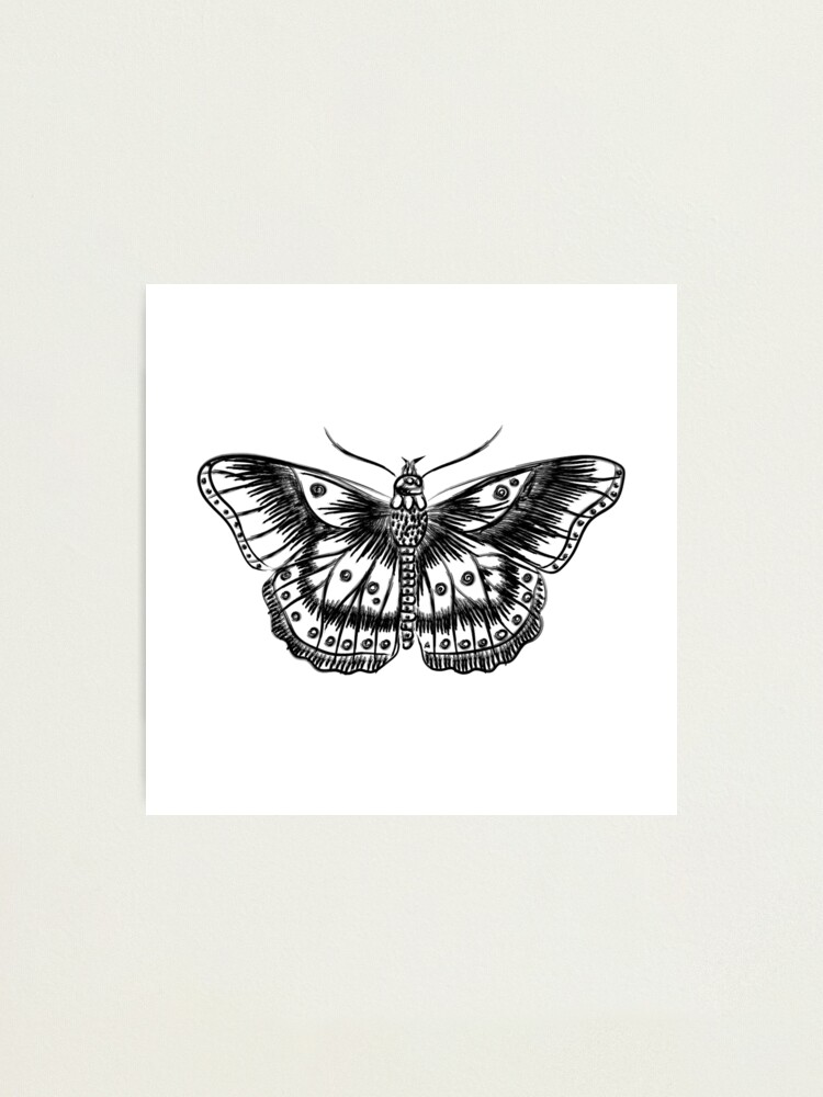 Lámina fotográfica «Harry Styles inspiró la mariposa del tatuaje» de chiiliishote | Redbubble Lámina fotográfica «Harry Styles inspiró la mariposa del tatuaje» de chiiliishote | Redbubble