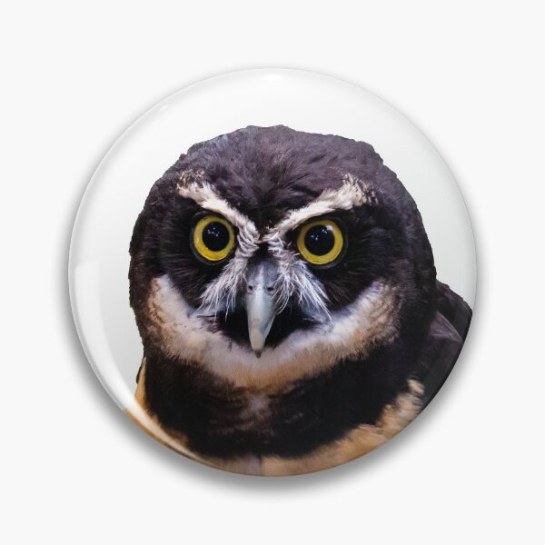Item preview, Bright Eyed Spectacled Owl designed and sold by Dylan Lawrence.