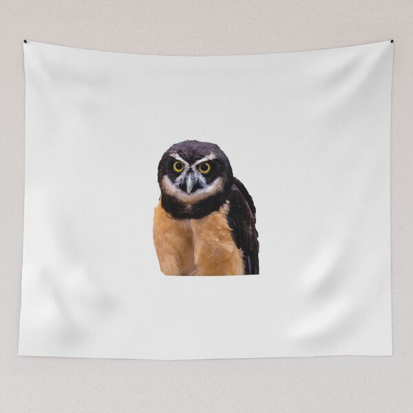 Item preview, Bright Eyed Spectacled Owl designed and sold by Dylan Lawrence.