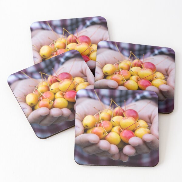 Item preview, Farmer's Hands Holding Crabapples designed and sold by Kevin Miller Photography.