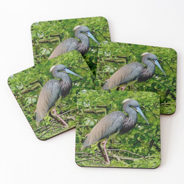 Item preview, Tricolored Heron in Breeding Plumage designed and sold by richardbryce.