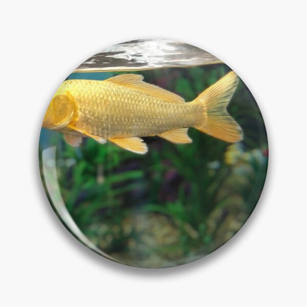 Item preview, Golden fish designed and sold by irenrank.