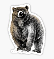 Der große Bär - Ein heftiger Beschützer Sticker