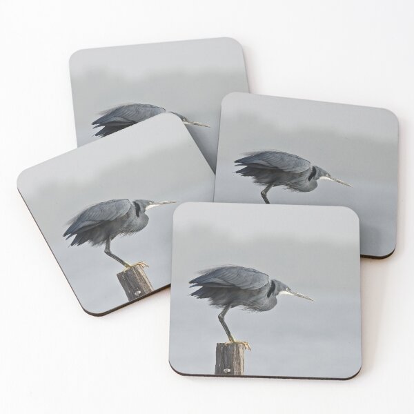 Item preview, Western Reef Heron about to fly designed and sold by Sue Robinson.
